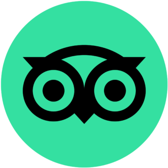 TripAdvisor icon